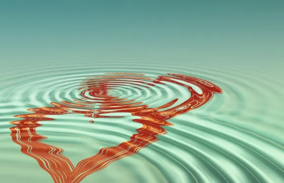 니트로 카지노 지원